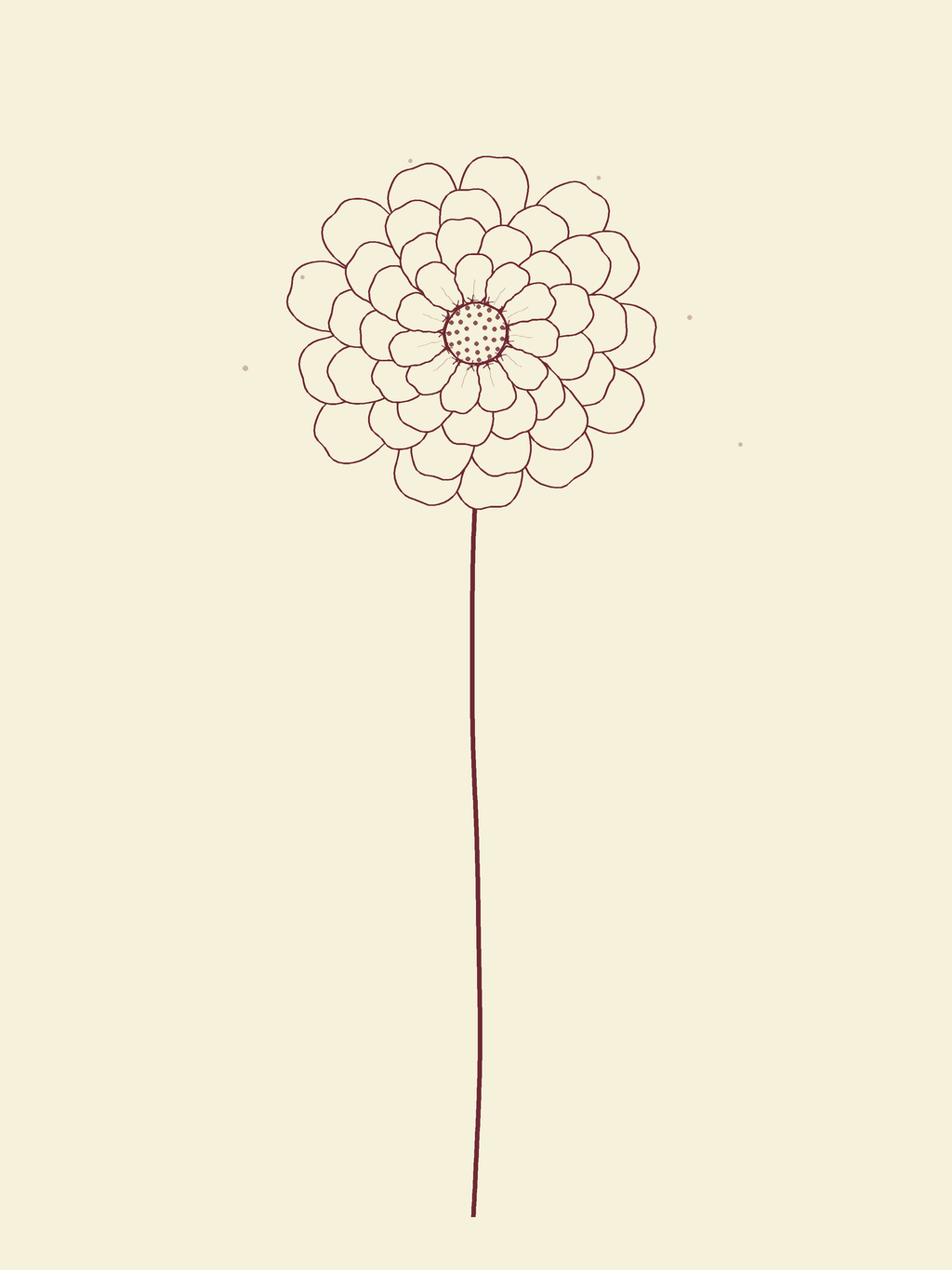Zinnia - Lilac