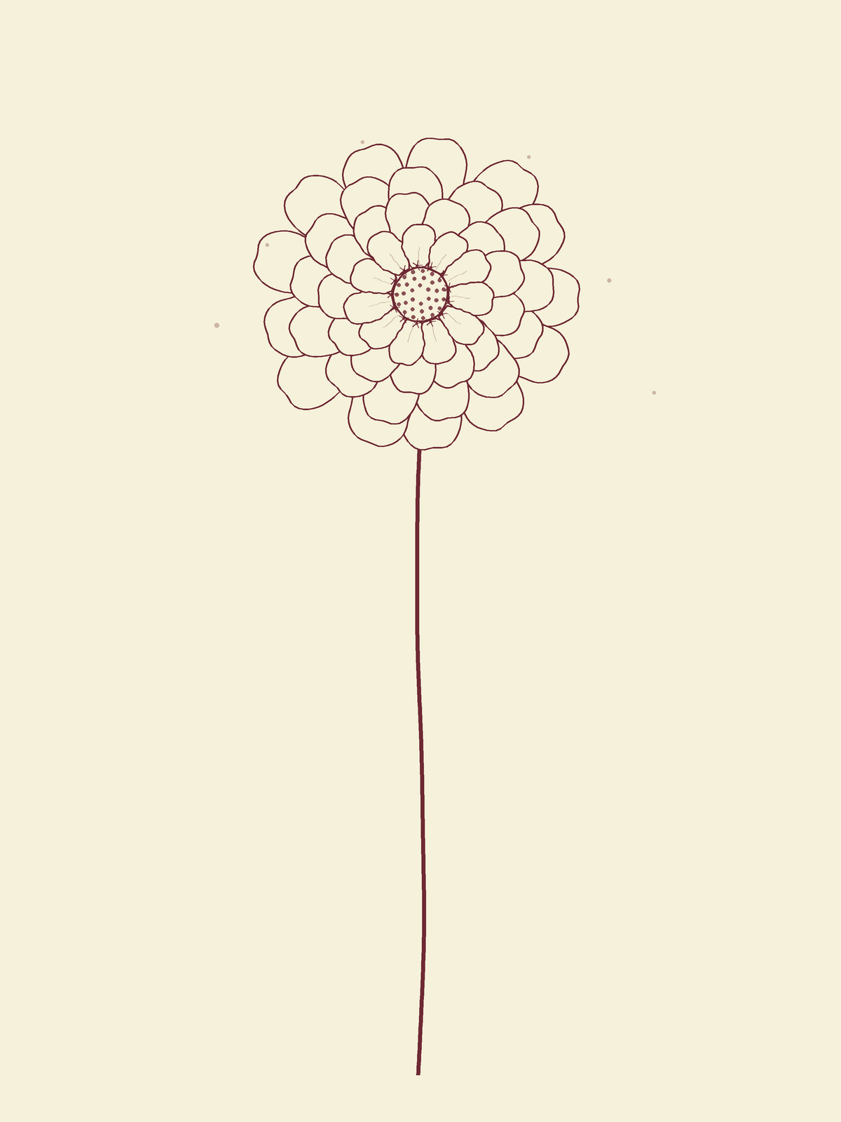 Zinnia - Lilac