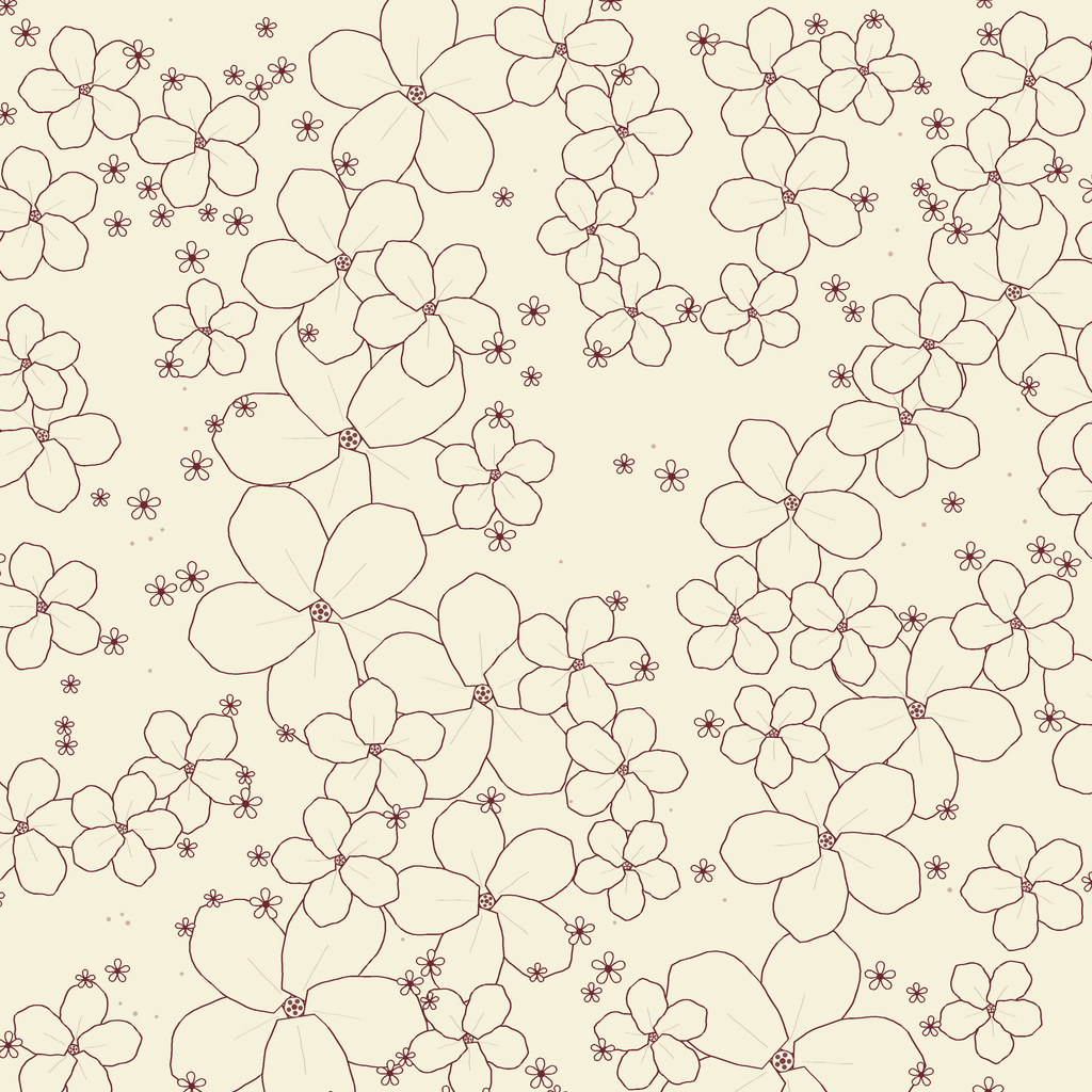 Phlox - Cream Brûlée
