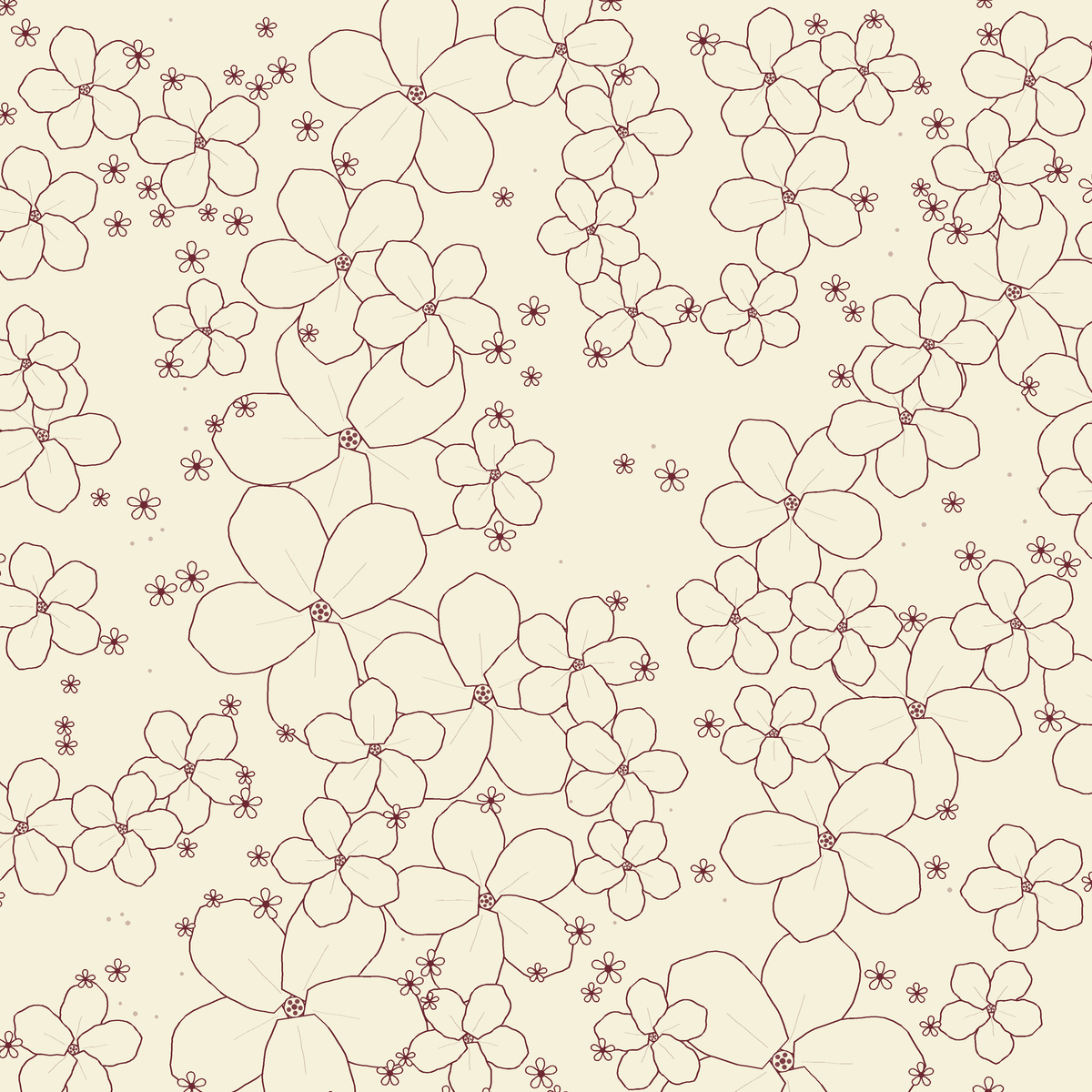 Phlox - Cream Brûlée