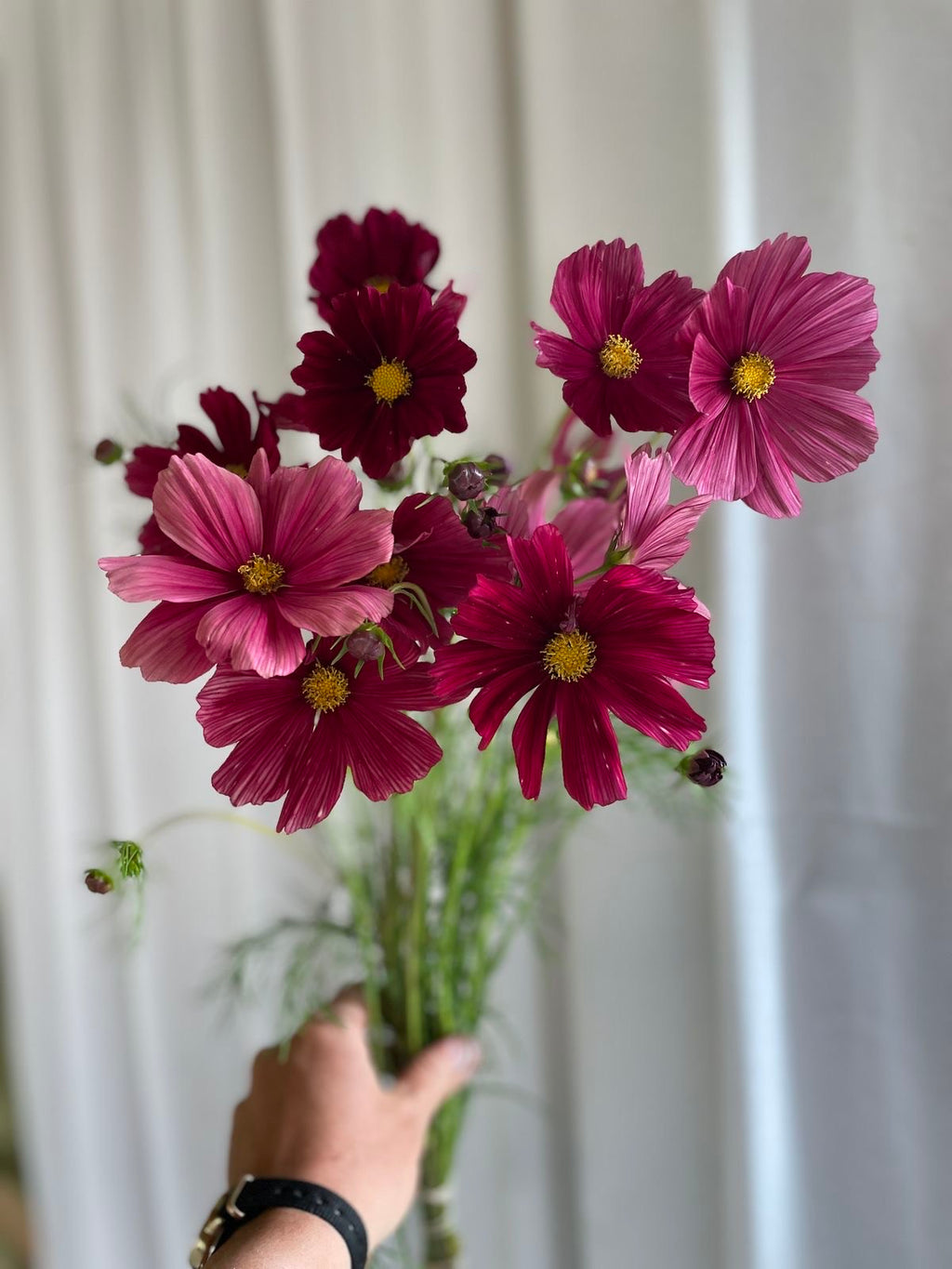 Cosmos - Ruby